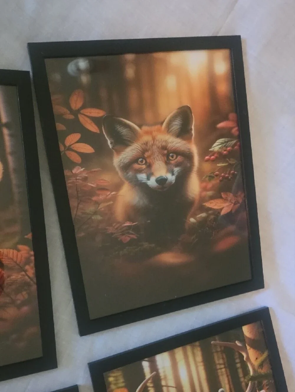 Woodland Forest Animal Wall Art Set Framed Prints